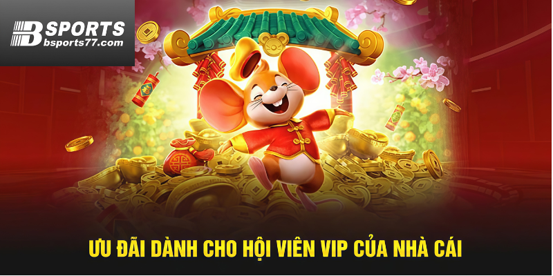 Khám phá hệ thống ưu đãi dành cho hội viên VIP của khuyến mãi Bsports