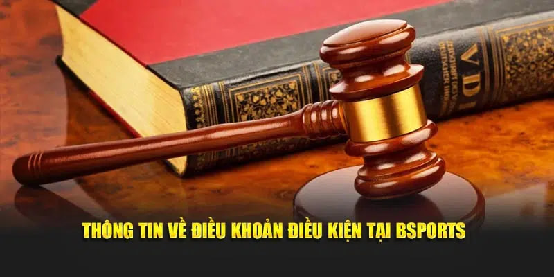 Thông tin về điều khoản điều kiện tại Bsports